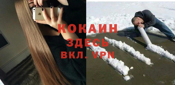 ГАЛЛЮЦИНОГЕННЫЕ ГРИБЫ Абаза
