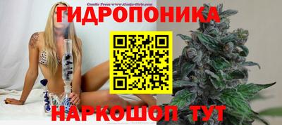 ПСИЛОЦИБИНОВЫЕ ГРИБЫ Рузаевка
