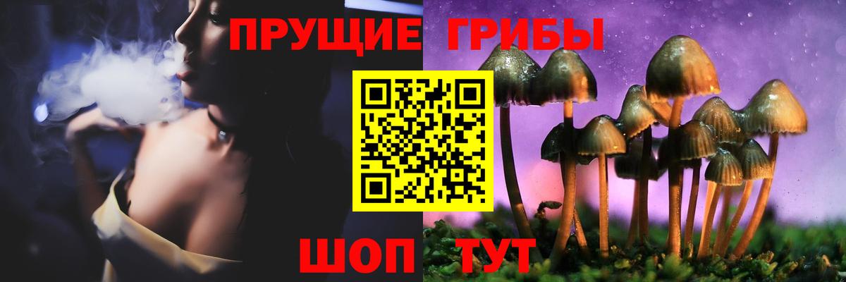 Новосибирск  где можно купить наркотик  Вход с VPN  Галлюциногенные грибы мухоморы 